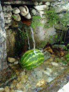 wassermelone-gekuehlt
