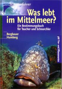 buch-was-lebt-im-mittelmeer