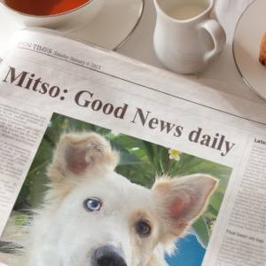 good-news-mitso