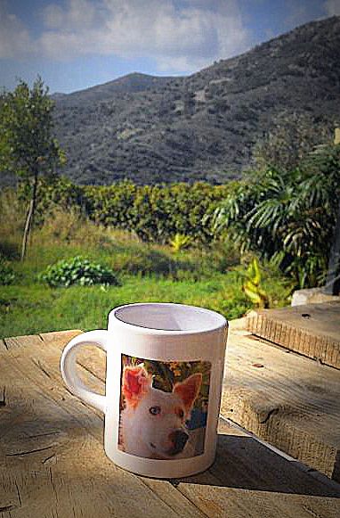 Tasse Mitso
