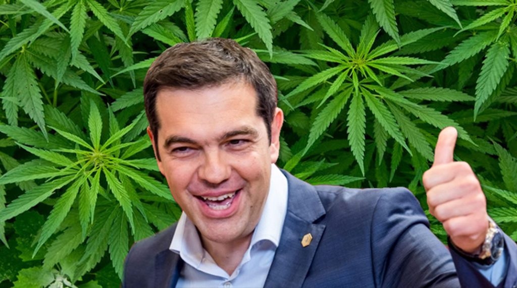 Cannabis Tsipras