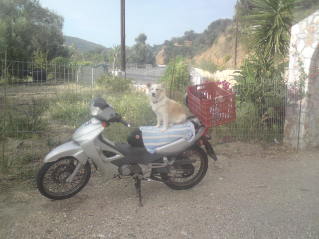 mitso-sitzt-auf-moped-1