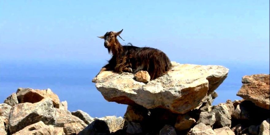 Ein Ausflugstipp Das geschichtsträchtige Kloster Arkadi